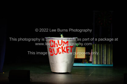 Walton Drama SpongeBob The Musical Production Photos - Digital Download - Image 2