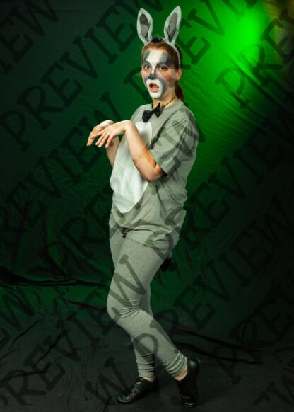 Shrek Character Photos - Image 49