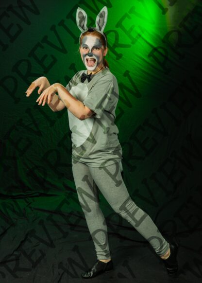 Shrek Character Photos - Image 48