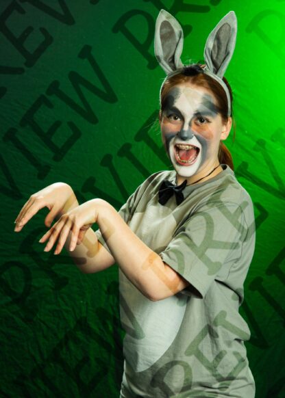 Shrek Character Photos - Image 47