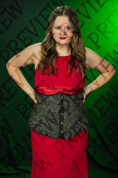 Shrek Character Photos - Image 15