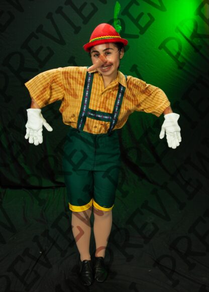 Shrek Character Photos - Image 8