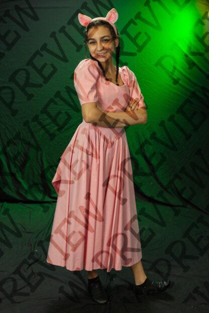 Shrek Character Photos - Image 7