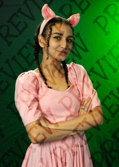Shrek Character Photos - Image 6