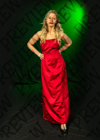 Shrek Character Photos - Image 4